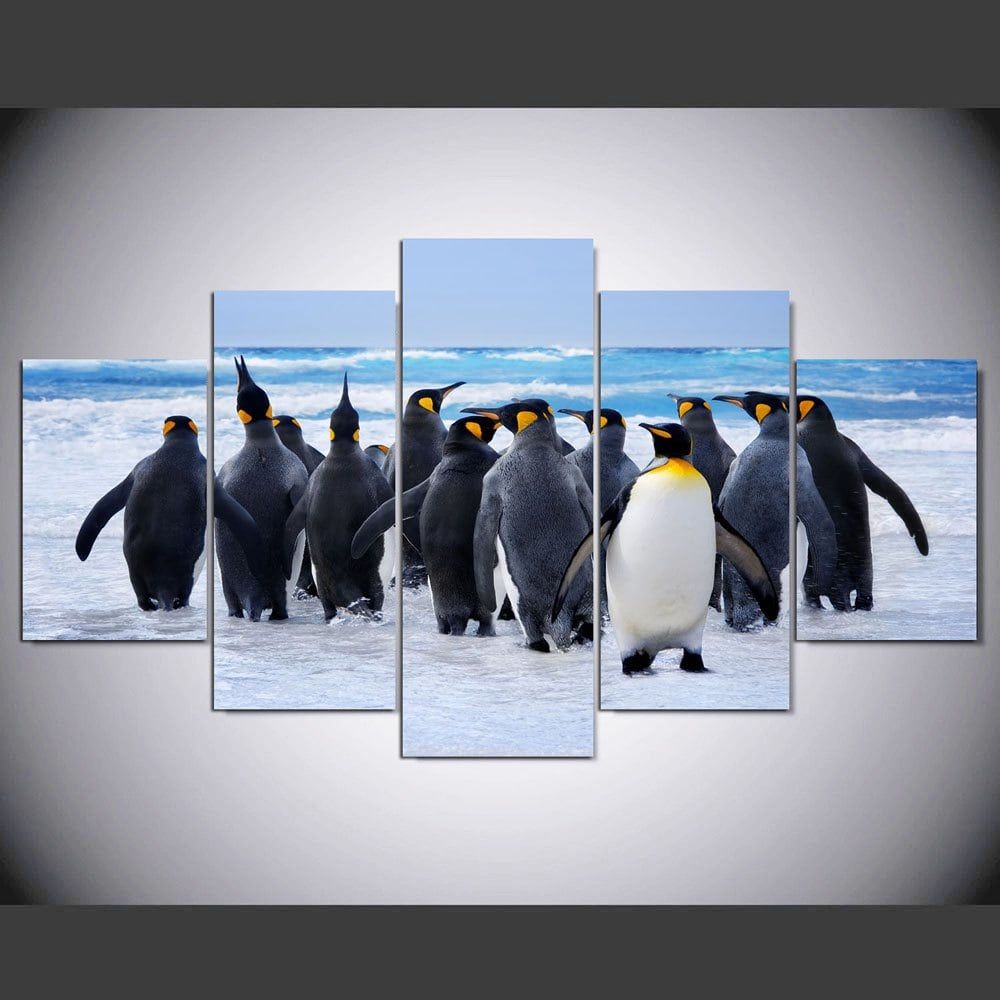 pb hardcover