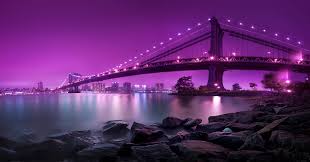 https://d20fgqvheu9buo.cloudfront.net/ops-liveqa131/images/product/11img.jpeg