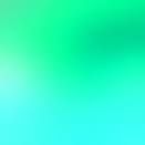 Refer from option/size