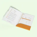 Mini Folders 3